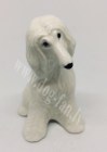 Afghan_hound1 copy